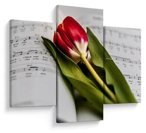 Egy vörös tulipán képe (90x60 cm)