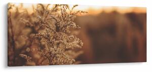 Virágzó fű képe (120x50 cm)