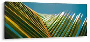 Kép - A pálmalevél részlete (120x50 cm)