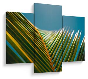 Kép - A pálmalevél részlete (90x60 cm)