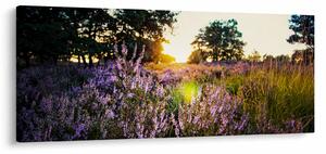 Egy levendulamező képe (120x50 cm)
