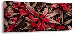 Piros szirmok képe (120x50 cm)