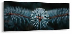 Egy tűlevelű fa gallyának képe (120x50 cm)