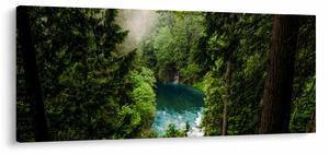 Kép - kilátás a fák között (120x50 cm)