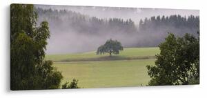 Egy kép a rétről egy fával (120x50 cm)