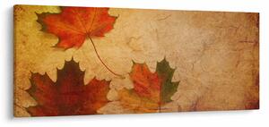 Őszi motívumú kép (120x50 cm)