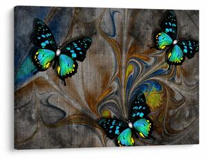 Kép - fényes pillangók képben (70x50 cm)