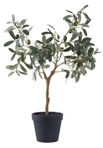 Olajfa műnövény (magasság 61 cm) – House Nordic