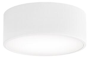 Brilagi Brilagi - Fürdőszobai mennyezeti lámpa CLARE 1xE27/24W/230V átm. 20 cm IP54 fehér BG0818