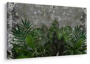Kép - Betonfal növényekkel (90x60 cm)
