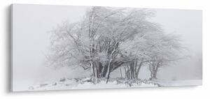 Kép - fehér tél (120x50 cm)