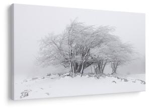 Kép - fehér tél (90x60 cm)