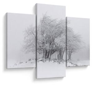 Kép - fehér tél (90x60 cm)