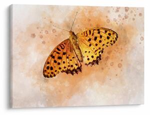 Kép - narancssárga pillangó, akvarell (70x50 cm)