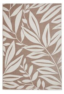 Világosbarna szőnyeg 80x150 cm Sorral Leaves – Catherine Lansfield