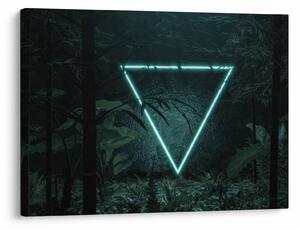 Kép - Neon háromszög a dzsungelben (70x50 cm)