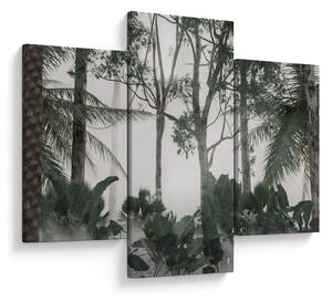 Kép - dzsungel a reggeli ködben (90x60 cm)