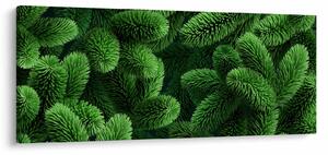 Kép - Tűlevelű gallyak (120x50 cm)