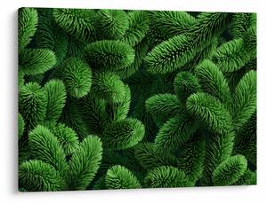 Kép - Tűlevelű gallyak (70x50 cm)
