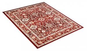 Gyönyörű vörös szőnyeg vintage stílusban Šírka: 200 cm | Dĺžka: 305 cm
