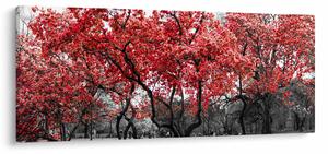 Kép - vörös fák, Central Park, New York (120x50 cm)