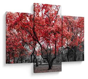 Kép - vörös fák, Central Park, New York (90x60 cm)