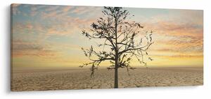 Kép - fa a sivatagban (120x50 cm)