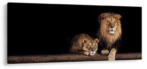 Kép - oroszlán és a nőstény oroszlán (120x50 cm)