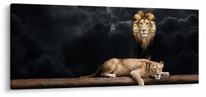 Kép - oroszlán és a nőstény oroszlán a felhőkben (120x50 cm)
