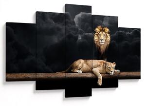 Kép - oroszlán és a nőstény oroszlán a felhőkben (150x105 cm)