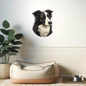 PIPPER. Matrica Border collie Méret: 60cm