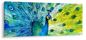 Páva képe (120x50 cm)