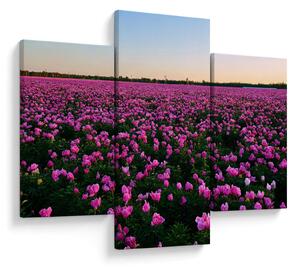 Kép - lila tulipánok rétje (90x60 cm)