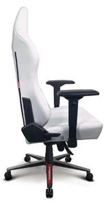 ArenaRacer Titan Gamer szék #fehér