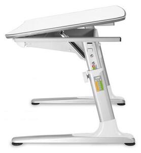 Mayer - JUNIOR 32 W1 18 ergonomikus gyerekíróasztal
