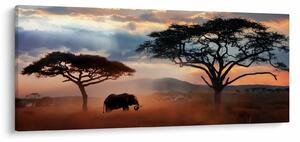 Kép - Serengeti Nemzeti Park, Tanzánia, Afrika (120x50 cm)