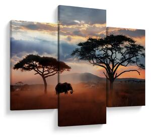 Kép - Serengeti Nemzeti Park, Tanzánia, Afrika (90x60 cm)