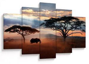 Kép - Serengeti Nemzeti Park, Tanzánia, Afrika (150x105 cm)