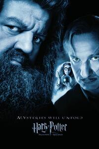 Művészi plakát Harry Potter - Hagrid & Lupin