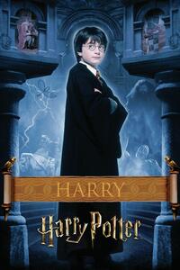 Művészi plakát Harry Potter - Harry