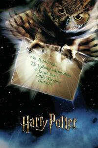 Művészi plakát Harry Potter - Hedwig
