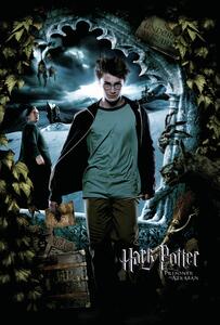 Művészi plakát Harry Potter - Harry
