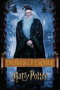 Művészi plakát Harry Potter - Dumbledore
