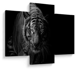 Egy vadtigris képe (90x60 cm)