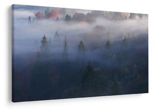 Kép - erdő a ködben, Carpathians, Ukraina (90x60 cm)