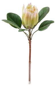 Protea pink
