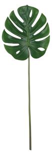 Monstera szál