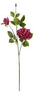 Chinese rose piros