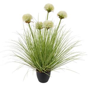 Fehér Allium Fűköteg