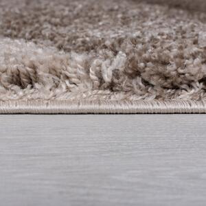 Barna-bézs szőnyeg 170x120 cm Dune Crater - Flair Rugs